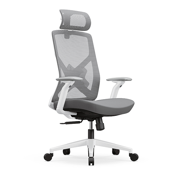 Ergonomic Chair